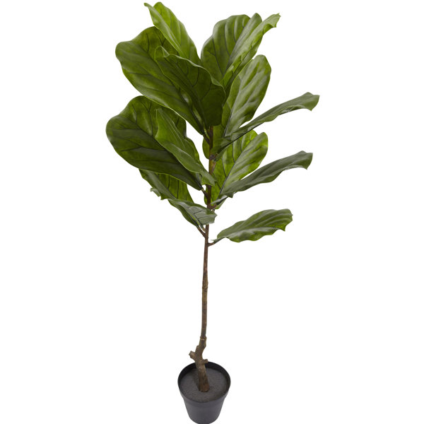 Langley Street Artificial Foliage Tree in Pot & Reviews Wayfair